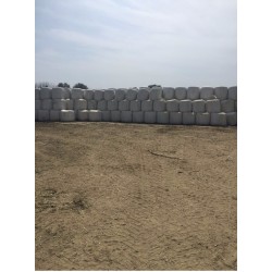 3-Mısır Silajı aylık 10.000 ton tedarik etme yeteneği 1. sınıf - 2. sınıf